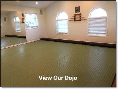 Calgary Aikido for Daily Life